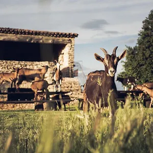 Le Domaine Du Castellas Gasthuis